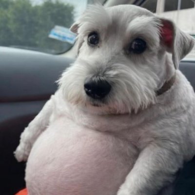 Casino profile picture