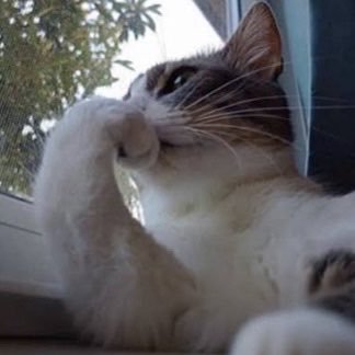 Euris profile picture