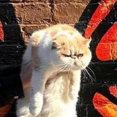 Jidn profile picture