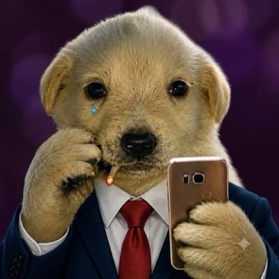 LJC profile picture